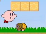 Maceracý Kirby